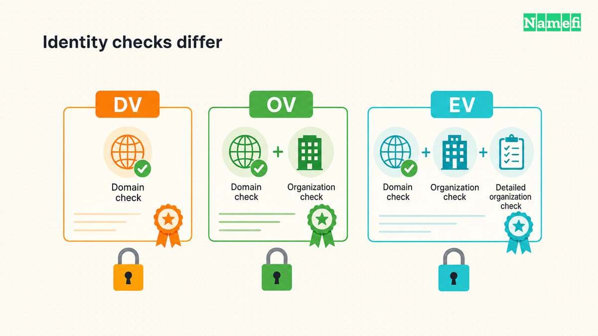 DV checks domain control, OV adds organization checks, and EV adds detailed identity checks.