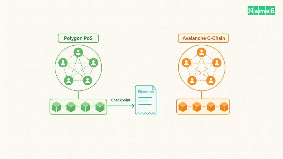Architecture and evaluation diagram for Polygon PoS and Avalanche C-Chain depend on their own consensus
