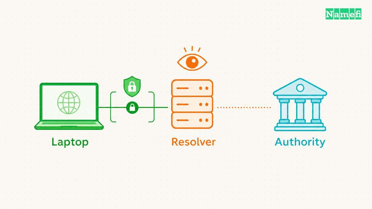 Both protocols protect one connection in the DNS path.