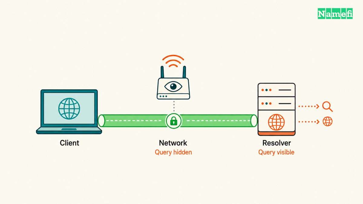 An encrypted DNS connection hides the query from the network but reveals the query to the selected resolver.