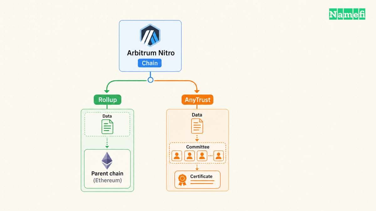 The diagram illustrates arbitrum orbit gives teams nitro configuration choices.