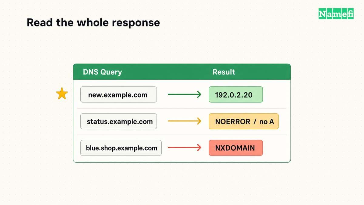Three example queries distinguish a wildcard address, no A data, and a name error.