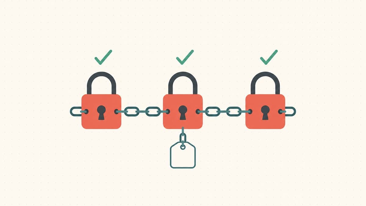 Editorial illustration of three padlocks in a row, each checkmarked, joined by one chain releasing a single domain-name tag